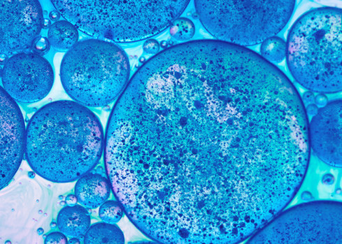 蓝色的分子细胞